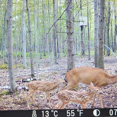 75 Acre Home With Trails & Outdoor Fun Tons Of Wildlife Saint Charles Exterior photo