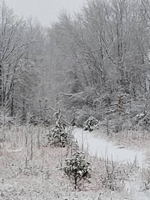 75 Acre Home With Trails & Outdoor Fun Tons Of Wildlife Saint Charles Exterior photo