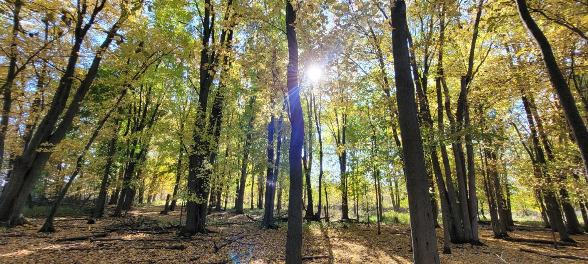 75 Acre Home With Trails & Outdoor Fun Tons Of Wildlife Saint Charles Exterior photo