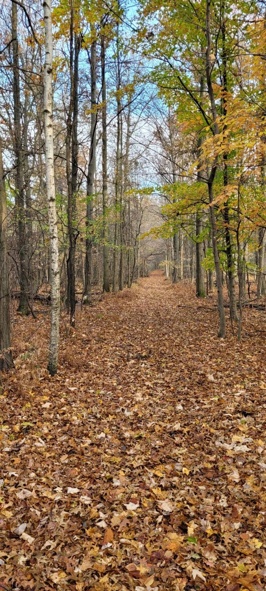 75 Acre Home With Trails & Outdoor Fun Tons Of Wildlife Saint Charles Exterior photo